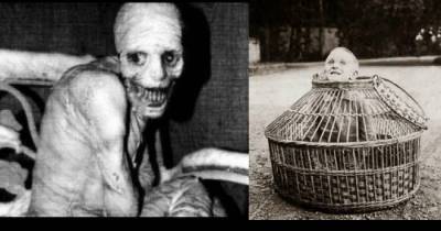 It&rsquo;s A Weird World Out There, These Pictures Make It Clear.
