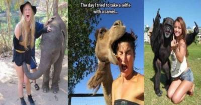 Funny Images Which Will Definitely Make You LOL