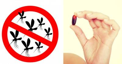 Take This Vitamin And You Will Be Mosquito Free All Summer Long!