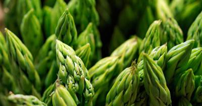 Health Benefits Of Asparagus