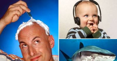 Modern Myths Busted - Mice Don't Love Cheese, Alcohol Doesn't Keep You Warm, And Sharks DO Get Cancer...