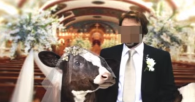 Shocking Human Animal Relationships You Won't Believe Actually Exist