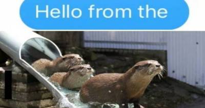 Puns So Awful They Should Never Be Allowed