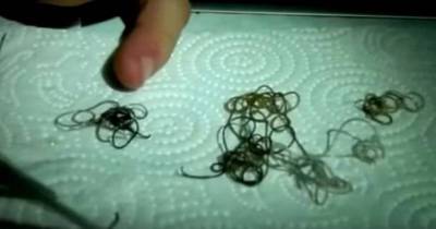 The Hairworm Is The Biggest NOPE Known To Man It's Worse Than Snakes And Spiders
