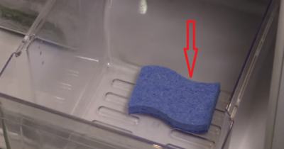 She Lays A Sponge Gently In Her Fridge. The Reason Is Pure Genius!