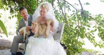 This Couple Invited A Thousand Cats To Their Wedding Ceremony!