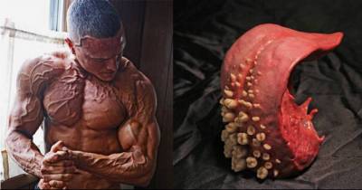 These Freaky Images Are The Epitome Of WTH