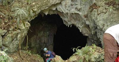 Farmer Helped A Looter Who Fell In A Cave And Discovered Something Horrifying