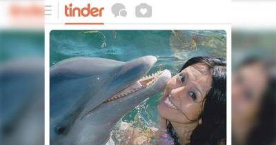 Tinder Girls Shows Their Love For Dolphins Openly.