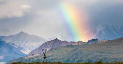 These 8 Places Are Giving Free Land To People Who Want To Settle & Build A Home! Am I Dreaming?