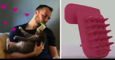 Lick AND Simultaneously Groom Your Cat With The Licky Brush!