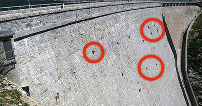 These Are Not The Stones On This Dam, Zoom In To Find The Truth