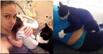 This Cat Fell In Love With A Baby Before He Was Born And Now Guards Him All The Time