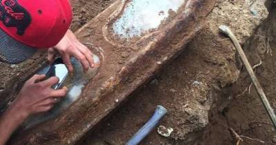 Builders Discover Amazing 145-Year-Old Coffin Of Little Blonde Girl Found Still Clutching A Single Red Rose