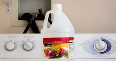 7 Awesome Reasons To Keep White Vinegar In Your Laundry Room