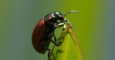 10 Disgusting Common Ingredients In Cosmetics