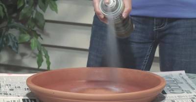 A Lady Buys 2 Flowerpots And 6 Saucers Made Of Terra Cotta. At Home, She Makes Her Own Little Paradise Out Of This.