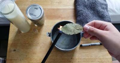 Burn Bay Leaves In Your Home And Watch What Happens After 10 Minutes!