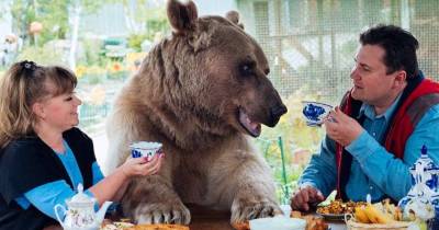 Incredible Family Includes 7ft Bear Who Sits At Dinner Table And Helps With Household Chores