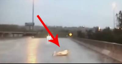 Cops Were Driving In A Heavy Storm... When They Spotted Something That Broke Their Hearts.