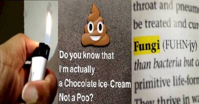19 Random Things That You Will Be Surprised You Didn't Know About