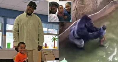 Police Announce They ARE Investigating Parents Of Three-Year-Old Boy Who Fell Into Zoo's Gorilla Enclosure