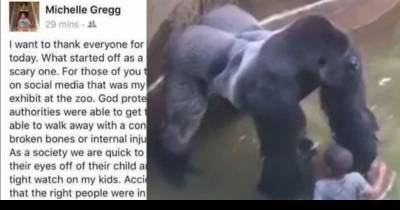 Mom of the Boy Who Fell Into Gorilla Enclosure Responds to Backlash