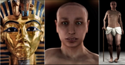 Really Weird Facts That Completely Change Everything