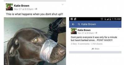 Woman Sentenced For Taping Dog&rsquo;s Mouth Shut