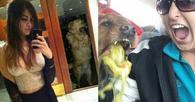 These Pictures Prove That Dogs Are The Instant Ruiner Of Your Selfies