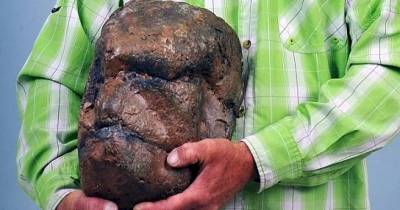 He Thought It Was Bigfoot's Skull, But Then Experts Told Him It Was Actually THIS