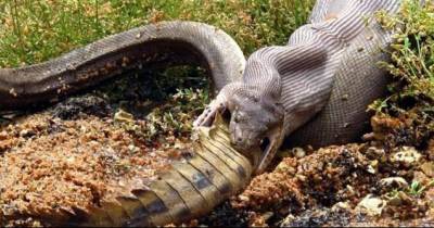 These Pictures Are Gonna Make You Scream "WTH"
