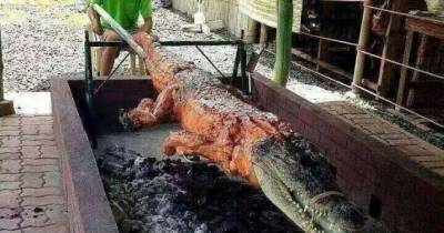 These Exotic Food Items Will Give You Nightmares