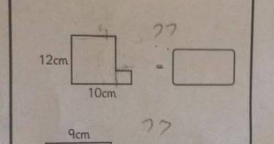 Math Question Meant For 10-Year-Olds Stumps Parents