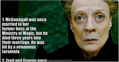 "Harry Potter" Facts Even The Biggest HP Nerds Might Not Know