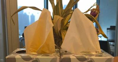 There's Something Very Important You Never Realized About Your Tissue Box