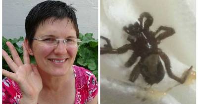 Mum Suffering Terrible Head Pain Horrified As Doctors Pulled Live SPIDER From Her Ear