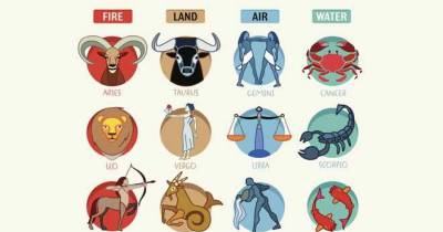 An Accurate Horoscope For The Whole Year! (Well Maybe Not So Much)