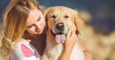 After Reading This You'll Probably Stop Hugging Your Dog!