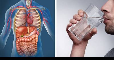 This Is What Happens When You Drink Only Water For 30 Days