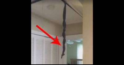 He Came Home To Find THIS Hanging From His Ceiling... When You See What It Is, You&rsquo;ll Scream.