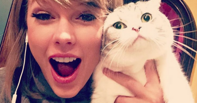 10 Famous Celebrities Instagrams That Are Worth Watching