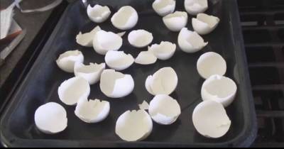 After Seeing Why She Bakes Just Her Eggshells In The Oven, I&rsquo;ll Never Throw Mine Away Ever Again