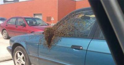 13 People Who Definitely Lost Their Will To Live!