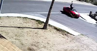 Woman Caught Running Over Boyfriend After Finding Out He Has HIV
