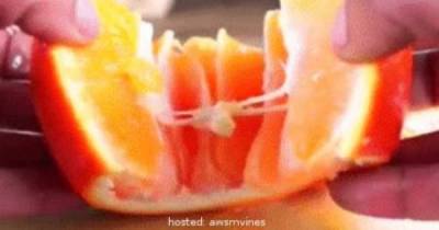 The Fastest Way To Peel Anything In The Kitchen