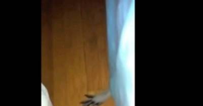 He Heard Grunts Coming From Under His Bed. So He Hits Record. What He Captures? Not Good