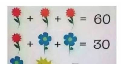 Mind-Bending Flower Puzzle Leaves Internet Users Baffled - Can You Solve It?