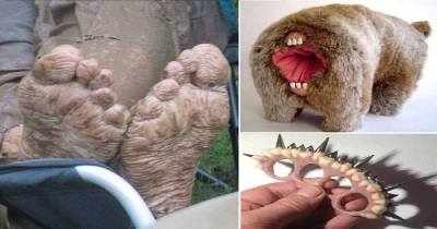 WTF Pictures That Could Paralyze You By The Shock