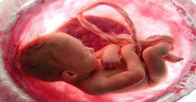 This Is How You Can Make Your Baby Smarter In The Womb According To Research